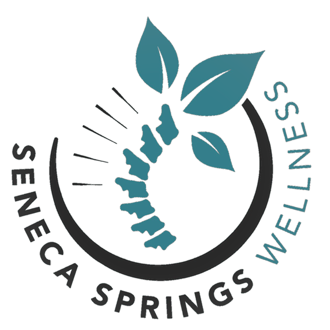 The Team » Seneca Springs Acupuncture Chiropractic and Massage Therapy